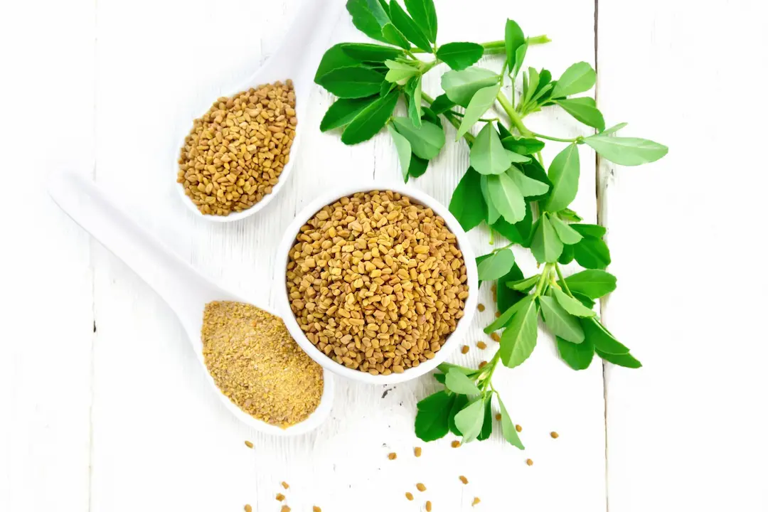 fenugreek powder